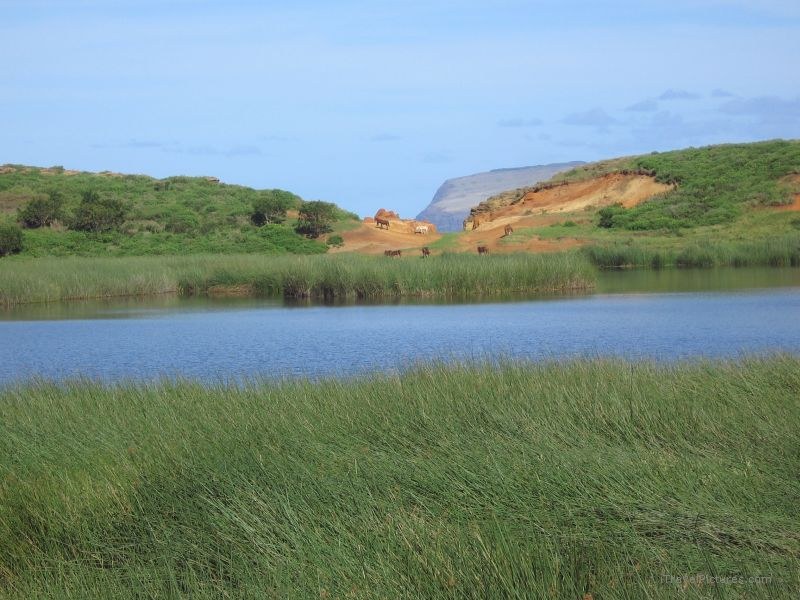 crater lake Rano Raraku